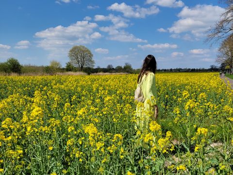 Frau geht über ein Blumenfeld im Sonnenlicht