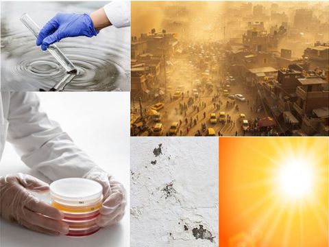 Bildcollage mit Petrischlaen, Reagenzglas wird in Wasser getaucht, Sonne, Boden mit Schnee, Stau auf einer Strasse mit Abgasen