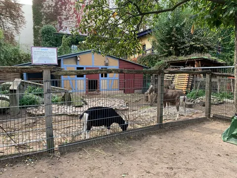 Ziegenhof in Charlottenburg der Blockinitiative 128