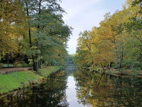 Volkspark Jungfernheide Teich