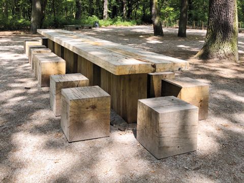 Erlebnispfad Stadtnatur Volkspark Jungfernheide Seerosen