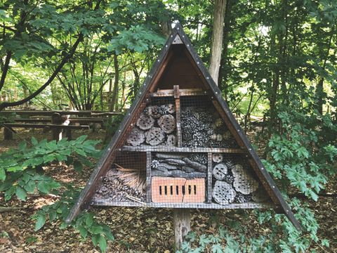 Erlebnispfad Stadtnatur Volkspark Jungfernheide Insektenhotel