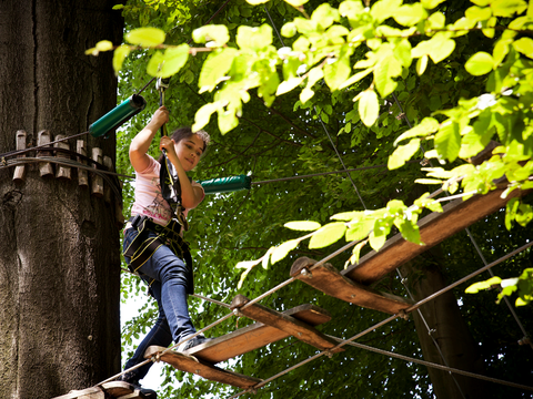 Waldhochseilgarten Jungfernheide