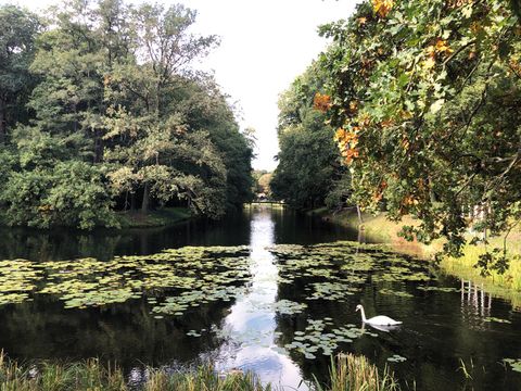 Erlebnispfad Stadtnatur Volkspark Jungfernheide Seerosen