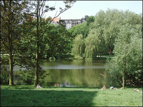 Aktuelles Foto - Liegewiese am Ufer des Lietzensees