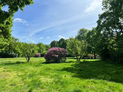 Goslarer Platz Grünanlage