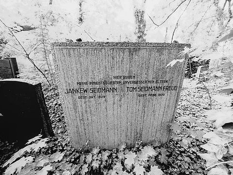 Bild 10: Grabstein Seidmann Freud, jüdischer Friedhof Weißensee