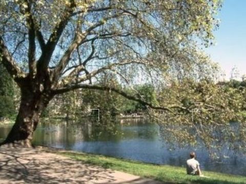 Blick auf den Lietzensee (Bild: Umwelt- und Naturschutzamt CW)
