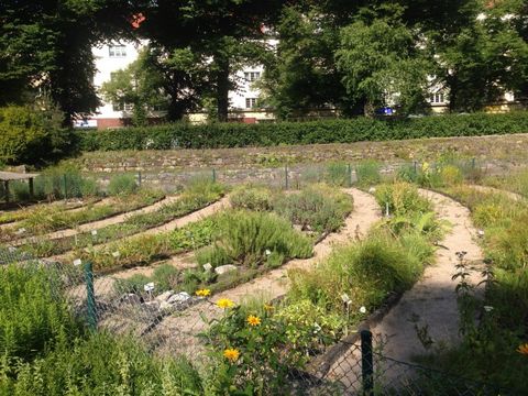 Lehr- und Schaugarten im Brixplatz (Bild: Cornelia Mirke)