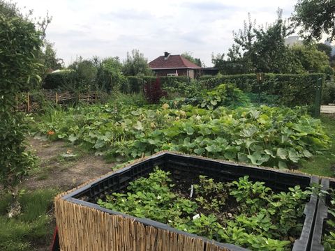 Blick in den Gemeinschaftsgarten der Kolonie Weidenbaum