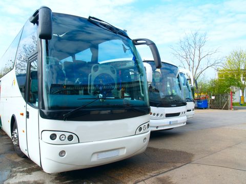Reisebusse - Foto von Chris Cockram