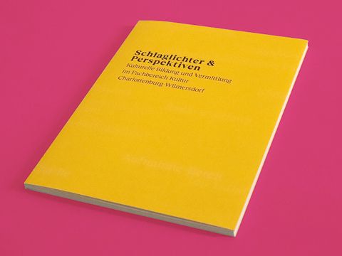 Cover der Publikation Schlaglichter und Perspektiven