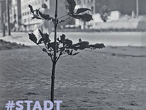 StadtBaumGeschichten