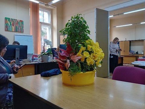 Blumenschale