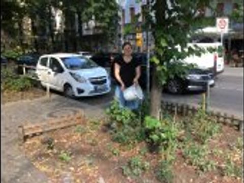 Bäume gießen mit Clara Herrmann