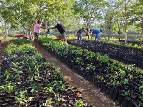 Nicaragua