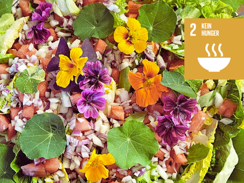 Blumensalat SDG 2