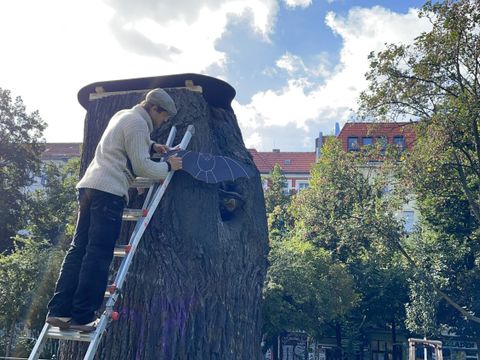 Die alte Linde - Schutz für Baum und Fledermäuse am Boxhagener Platz
