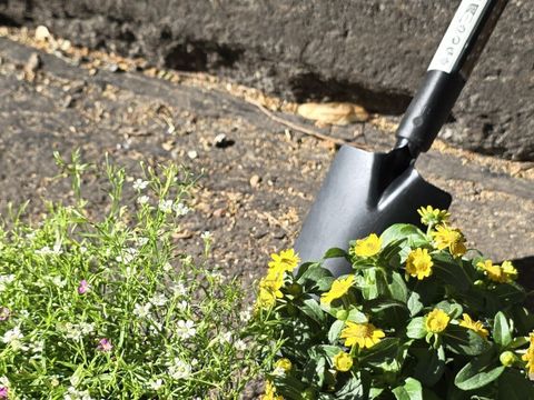 Mit Straßenbemalungen, Beschilderungen und gemeinsamen Pflanzaktionen werden bewusst gestaltete Aufenthaltsbereiche geschaffen