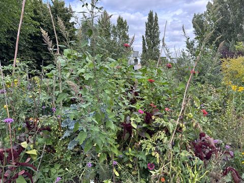 Beet im Bürgergarten Laskerwiese