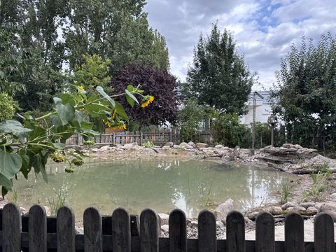 Teich im Bürgergarten Laskerwiese