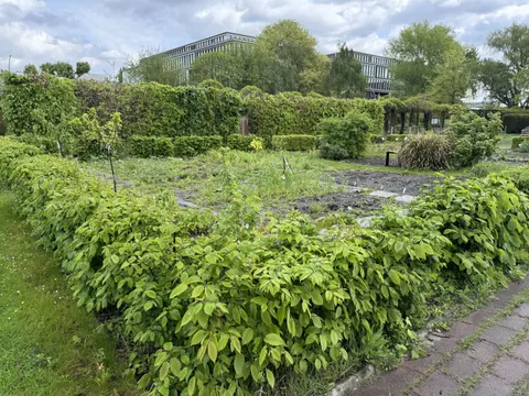Gartenarbeitsschule