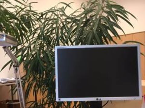 Nawi, disloziertes Arbeiten, Waben