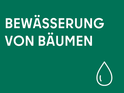 Bewässerung von Bäumen