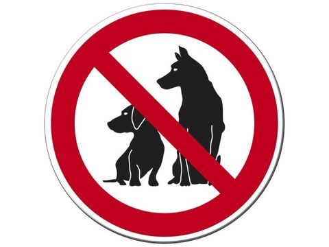 Hundeverbot