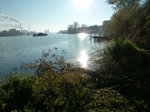Blick von der Schwanenwiese in die Rummelsburger Bucht