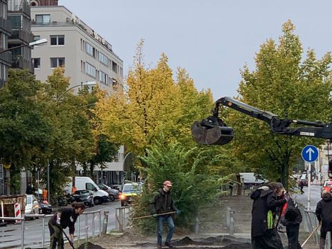 Der Boden für die Begrünung wird vorbereitet.