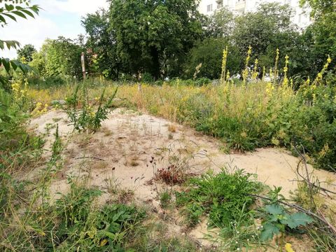 Bienenhabitat