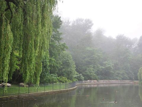 Blick auf den Großen Bunkerberg im Volkspark Friedrichshain