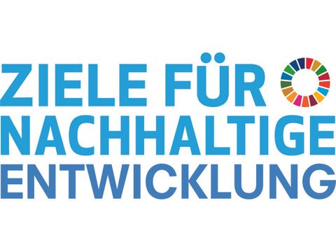 SDG Logo