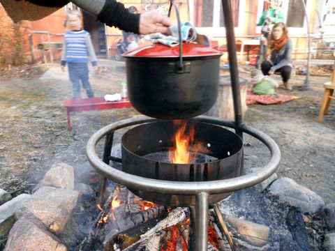 LMP1