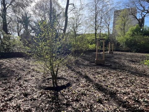 Entsiegelte Fläche mit Bepflanzung auf dem ehemaligen Bolzplatz im Viktoriapark