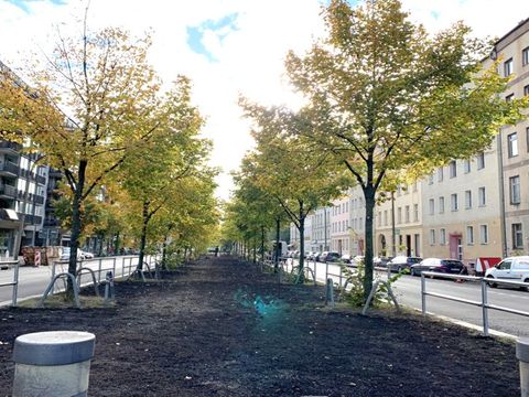 Mittelinsel Friedenstraße nach Einzäunung und Bodenverbesserung