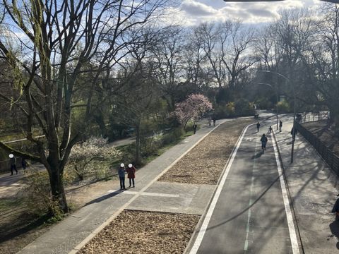 Entsiegelung und neue Rad- und Fußverkehrswege am Görlitzer Ufer