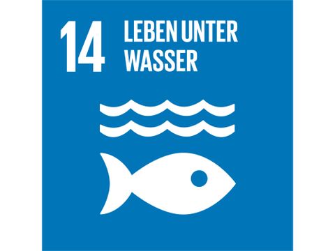 Icon Nachhaltigkeitsziel 14 Leben unter Wasser