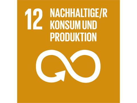 Icon Nachhaltigkeitsziel 12 Nachhaltiger/r Konsum und Produktion