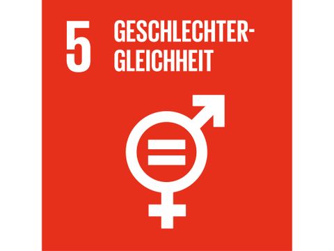 Icon Nachhaltigkeitsziel 5 Geschlechtergleichheit