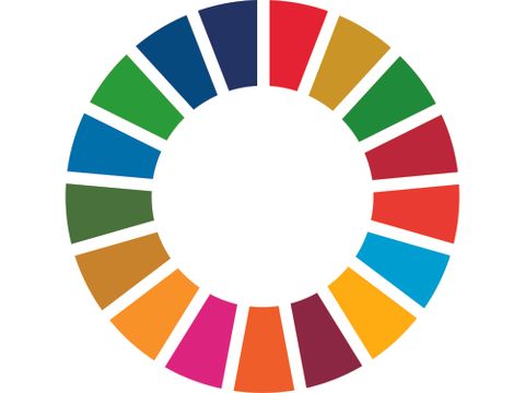 Logo der Sustainable Development Goals