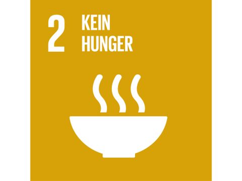 Sustainable Development Goals_icons-EMILIE