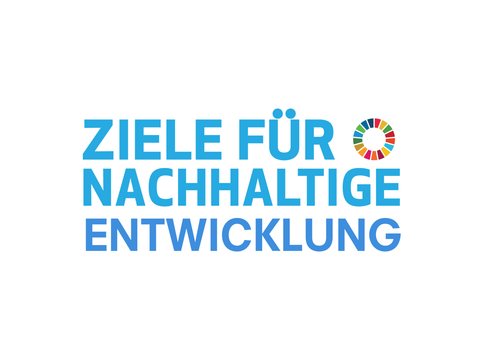 Logo Ziele für nachhaltige Entwicklung