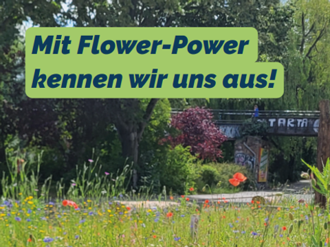 Ausschnitt der Kommunikationskampagne 2