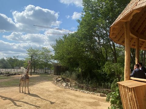 Bezirksamt beglückwünscht den Tierpark Berlin zum 70. Geburtstag