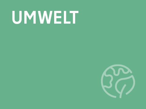 Teaserbild Umwelt