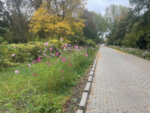 Entsiegelte Kanalstraße Zentralfriedhof Friedrichsfelde