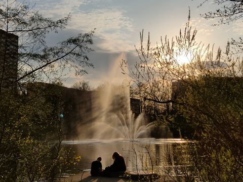 Fennpfuhlpark im Sonnenuntergang