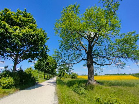 Ahornallee in Wartenberg